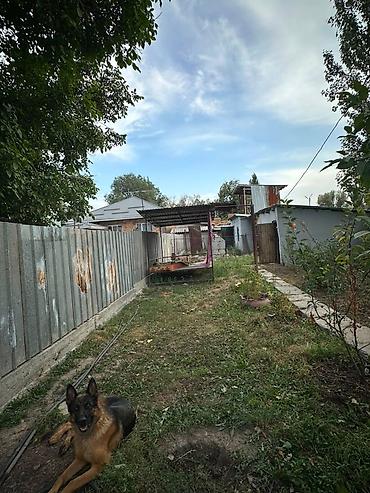 Продажа барачных домов: Продается квартира в барачном доме в селе Молдовановка, в доме кухня at lalafo.kg — 2 Продажа барачных домов: Продается квартира в барачном доме в селе Молдовановка, в доме кухня — 2