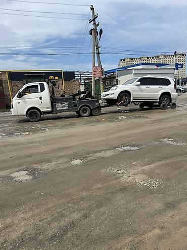 285 75 17: С частичной погрузкой — 1