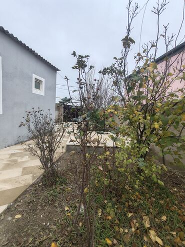Həyət evləri və villaların satışı: Binəqədi qəs. 3 otaqlı, 100 kv. m, Kredit yoxdur, Yeni təmirli -da lalafo.az — 4 Həyət evləri və villaların satışı: Binəqədi qəs. 3 otaqlı, 100 kv. m, Kredit yoxdur, Yeni təmirli — 4