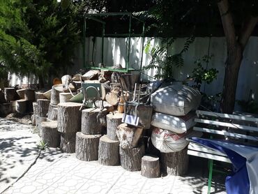 мороженое бахрома цена бишкек: Отун Терек, Өзү алып кетүү