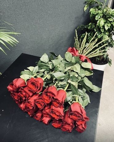 исскуственные цветы: Букеты из свежесрезанных роз - Классические красные и белые розы -