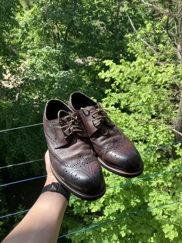 продаю лиса: Продаю мужской обувь туфли Натуральный кожа Покупал в Баскони Один раз