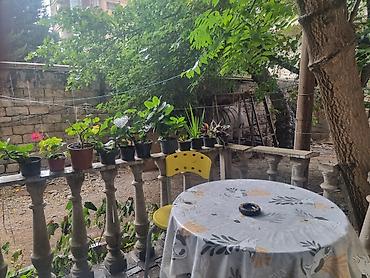 Günlük kirayə mənzillər: 3 otaqlı — 3