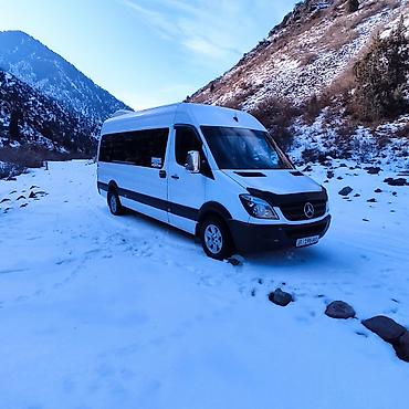 Пассажирский бус на заказ: Бус на заказ! VIP По всем направлениям 18 мест Кондиционер Откидной — 5