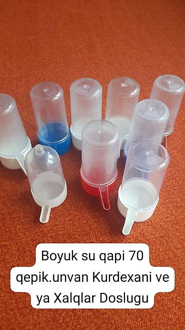 Quşlar: Zeng edin ve ya wapsapla elaqe saxlayin — 7