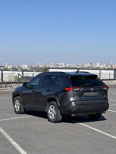 пампа: Toyota RAV4: 2020 г., 2.5 л, Автомат, Бензин, Кроссовер — 3