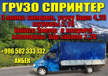 Водители грузового транспорта: Водители грузового транспорта
