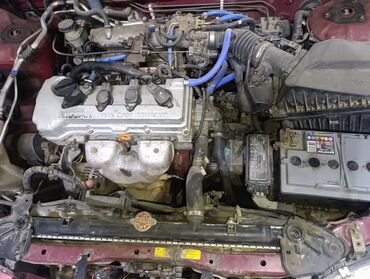 толк сатам: Nissan Almera: 2001 г., 1.8 л, Механика, Бензин, Хэтчбэк