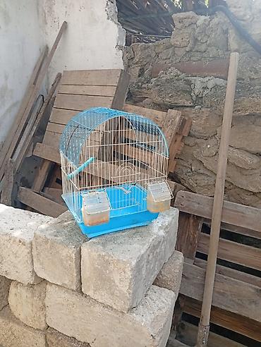 mal inək: Quş qəfəsi – kiçik ölçülü, yarımdairə formalı damla. - Material — 2