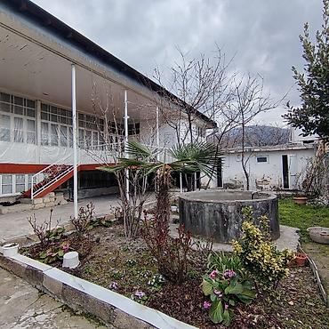 Həyət evi alıram: Satılır: həyət evi - Geniş həyətli, bir mərtəbəli ev. Evin önündə — 11