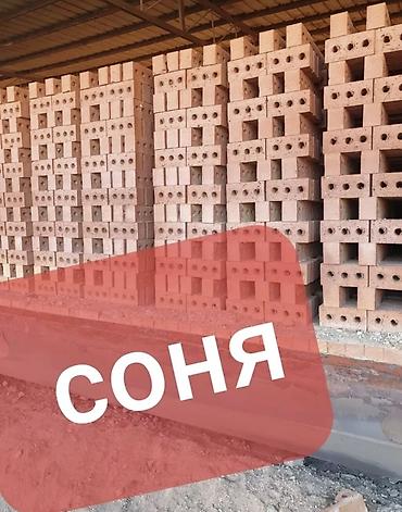 Строительный кирпич: Пустотелый, дырчатый, Жженый кирпич, Полублок, 250×120×90 — 7