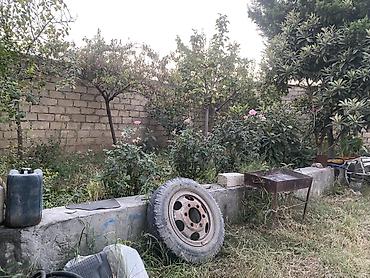 Həyət evləri və villaların satışı: 1 otaqlı, 10 kv. m -da lalafo.az — 18 Həyət evləri və villaların satışı: 1 otaqlı, 10 kv. m — 18