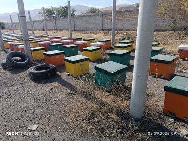 турецкая мягкая мебель в бишкеке: Бал челектер сатылат аарысы менен парода карника 10 рамкалык корпусной