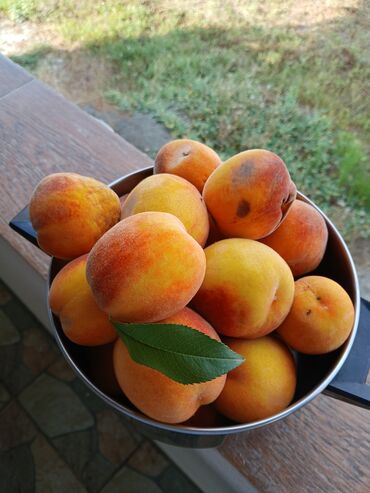 Torpaq sahələrinin satışı: 20 sot, Tikinti, Mülkiyyətçi, Kupça (Çıxarış) — 17