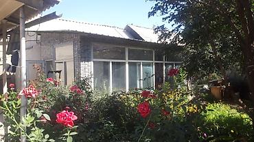 Продажа коттеджей и домов: Продаётся частный дом с благоустроенным двором и садом. Свет 3 — 1