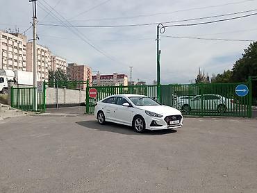 sonata uf: Hyundai Sonata: 2020 г., 2 л, Автомат, Газ, Седан — 3