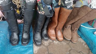 Товары и оборудование для с/х животных: Ээр,токум,тердик,ат жабуу,така мык,аркан,ремень,мешок,картошка — 8