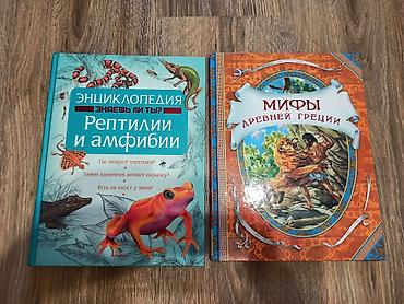 рисую: Все книги в идеальном состоянии, не рваные, как будто новые. Маленькие — 8