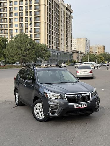 forester: Subaru Forester: 2020 г., 2.5 л, Вариатор, Бензин, Внедорожник — 2