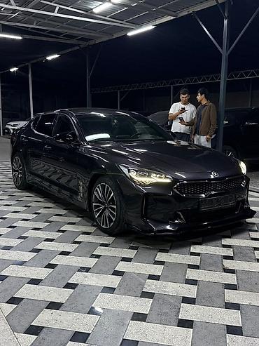 медь кг цена: Kia Stinger: 2017 г., 2 л, Автомат, Бензин, Фастбек — 2