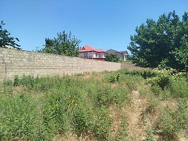 binə mehriban qonşular: Torpaq sahəsi – Qurd Dərəsi - Ölçü: 4 sot - Məkan: Qurd Dərəsi — 6