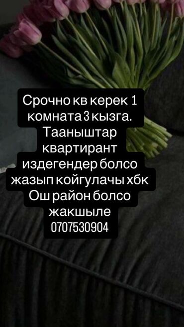 купить дом в бишкек: Ищем в аренду 1-комнатную квартиру для трех девушек. Предпочтительно