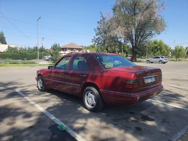 Mercedes-Benz: Mercedes-Benz W124: 1994 г., Автомат, Бензин, Седан — 10