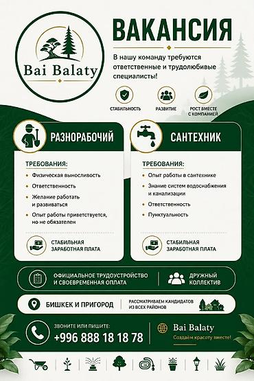 сантехника: Вакансии в Bai Balaty Ищем ответственных и трудолюбивых специалистов — 1