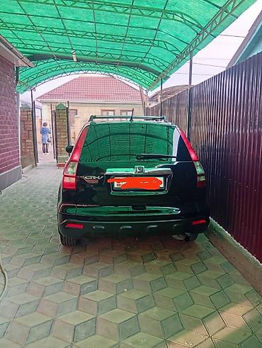 Honda: Honda CR-V: 2009 г., 2.4 л, Автомат — 13