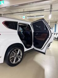 Hyundai: Hyundai Santa Fe: 2019 г., 2 л, Автомат, Дизель, Кроссовер — 20