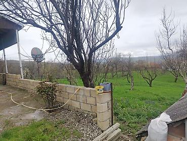 Torpaq sahələrinin satışı: Kənd təsərrüfatı — 1