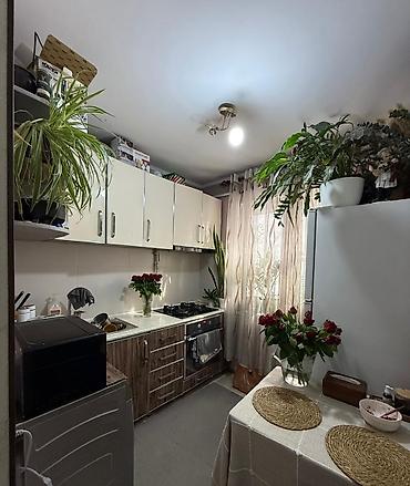 14: 2 комнаты, 43 м², 104 серия, 1 этаж, Евроремонт — 7