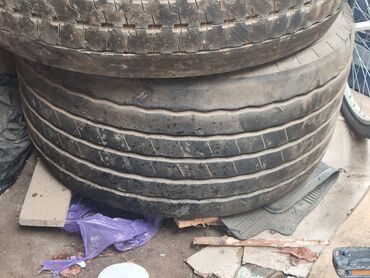 покрышка на 16: Грузовые шины 
445-45-19,5 на прицеп 
315-60-22,5 ведущая ось