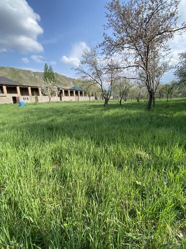 Продажа участков: 48 соток, Для строительства, Красная книга