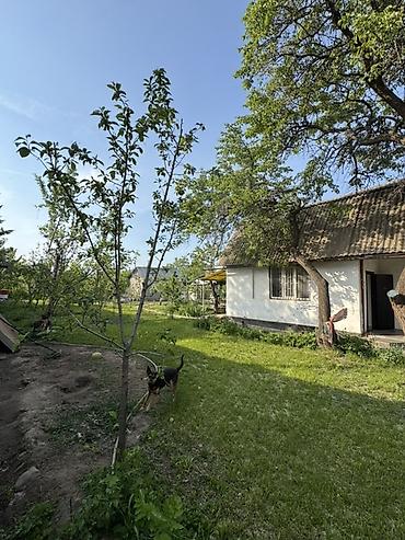 Продажа коттеджей и домов: 🏡 Продается дом в Байтике (ДК «Береке») Продается дом в живописном — 3