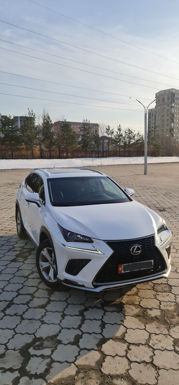 avto kresla: Lexus NX: 2017 г., 2 л, Автомат, Бензин, Кроссовер