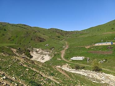 şirvanda torpaq: 105 sot, Kənd təsərrüfatı, Mülkiyyətçi, Kupça (Çıxarış) — 7