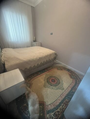 Uzunmüddətli kirayə mənzillər: 4 otag - Zal: Geniş və işıqlı otaq, kristal lüstrlü asma tavan — 21