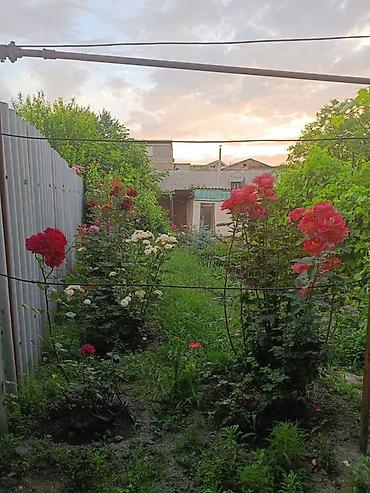 samatova: 🏡 Продаётся уютный кирпичный дом в районе Аламединского рынка 📍 — 2