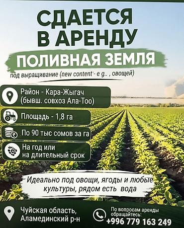 окончательная: 180 соток Для сельского хозяйства — 1