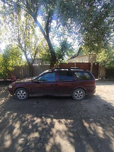 Opel: Opel Vectra: 2002 г., 1.8 л, Механика, Бензин, Универсал — 2
