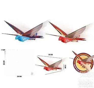 bubamara sa kapicom: Gogo bird koja leti kada se baca. gogo bird koja leti kada se baca — 1