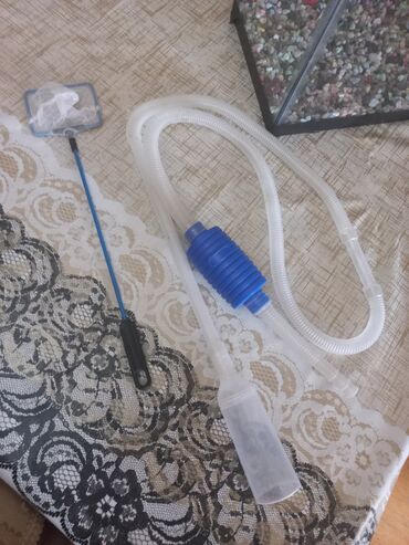 Akvariumlar: Akvarum satılır 40 selqiledir lazim üçün fso — 4