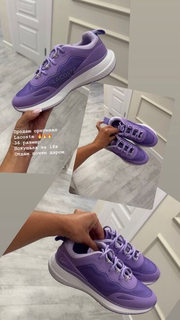 кроксы мужские купить: Фиолетовые кроссовки Lacoste с белой подошвой. Модель украшена