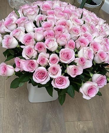 Сегодня купили Монобукет из роз нежно‑розового оттенка - Состав at lalafo.kg Сегодня купили Монобукет из роз нежно‑розового оттенка - Состав