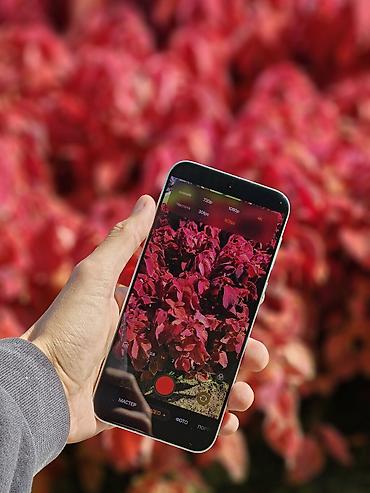 Oppo: Oppo Find X8, Новый, 256 ГБ, цвет - Белый, 1 SIM, 2 SIM — 12
