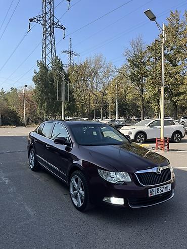 лупарик капот: Skoda Superb: 2010 г., 1.8 л, Автомат, Бензин, Седан — 1