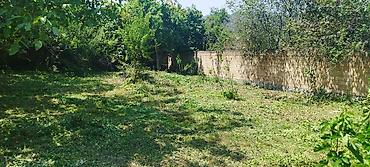 Torpaq sahələrinin satışı: Tikinti, Mülkiyyətçi, Kupça (Çıxarış) -da lalafo.az — 13 Torpaq sahələrinin satışı: Tikinti, Mülkiyyətçi, Kupça (Çıxarış) — 13