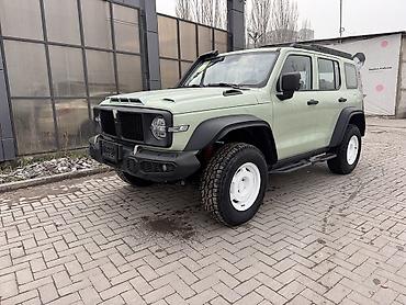 Tank: Tank 300: 2024 г., 2 л, Автомат, Бензин, Внедорожник — 2