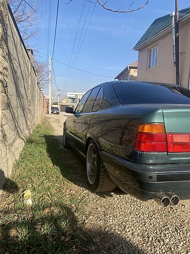 BMW: BMW 5 series: 1995 г., 3.2 л, Механика, Бензин, Седан — 5